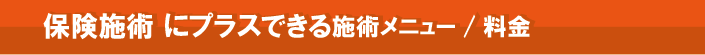 保険施術にプラスできる施術メニュー/料金